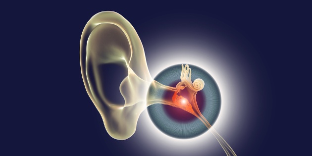Une nouvelle étude révèle que le SRAS-CoV-2 peut infecter l’oreille interne