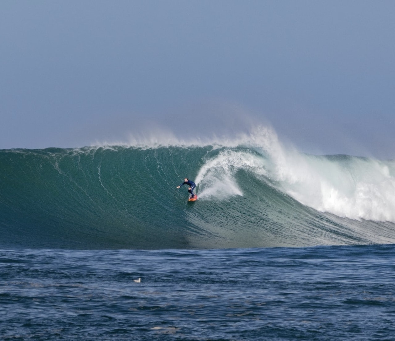 En 2018, il a remporté des victoires majeures aux États-Unis.